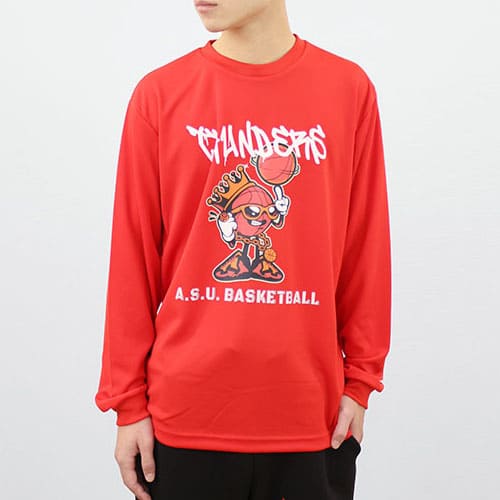 プロメッシュドライ