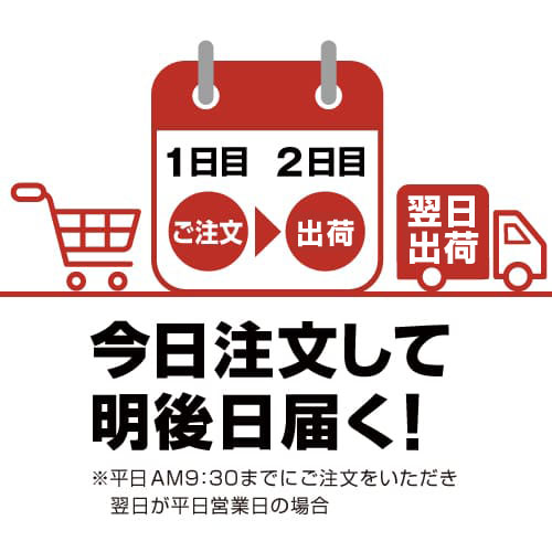 翌日出荷100%保証