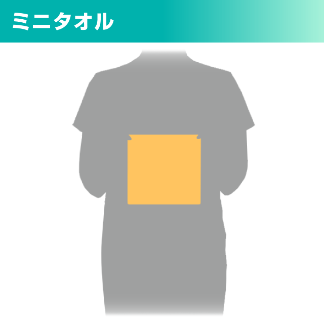 ミニタオル